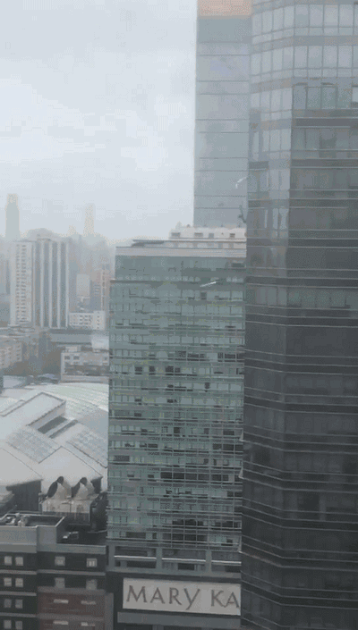 04.gif